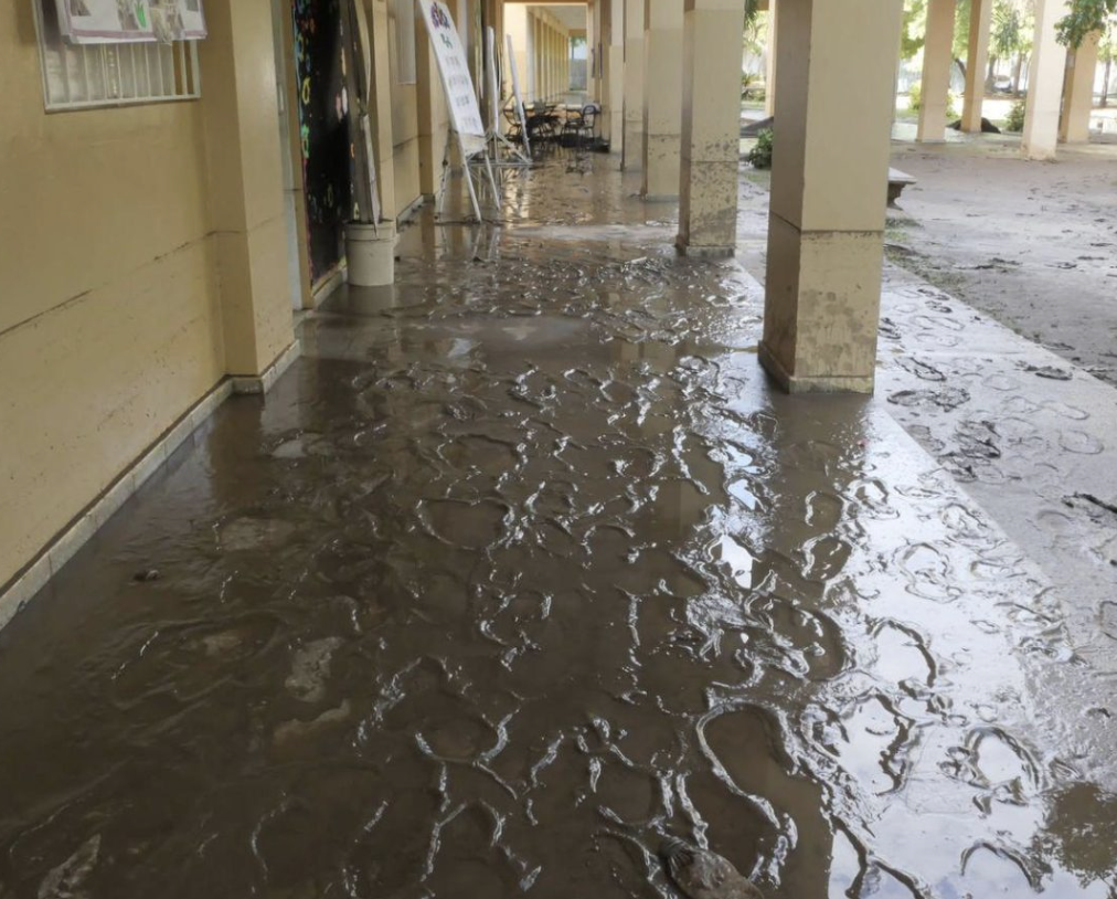 captura de pantalla 2025 05 09 a la(s) 7.32.55 a. m.